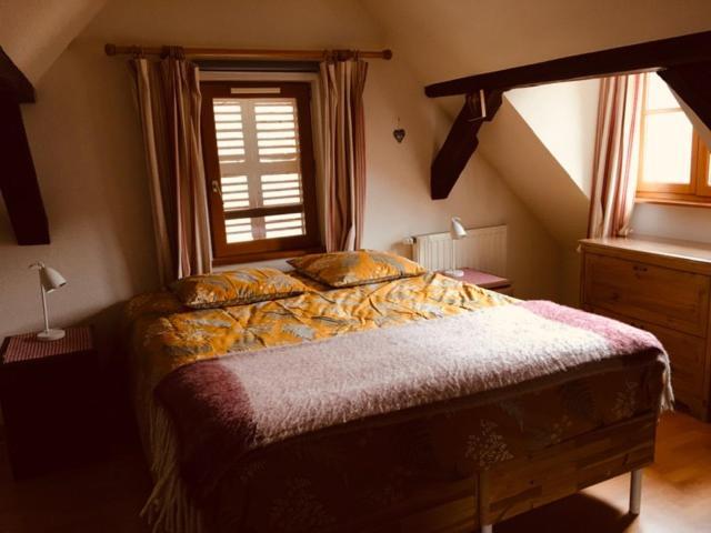 Appartement Au Charme Alsacien Kaysersberg-Vignoble Esterno foto