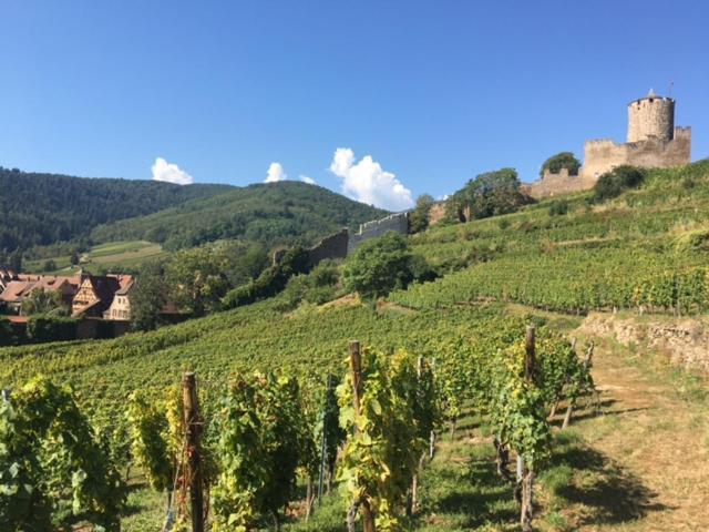 Appartement Au Charme Alsacien Kaysersberg-Vignoble Esterno foto