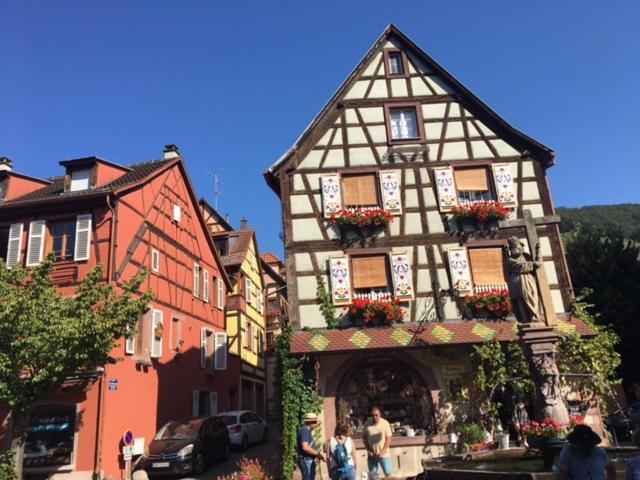 Appartement Au Charme Alsacien Kaysersberg-Vignoble Esterno foto