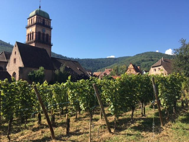 Appartement Au Charme Alsacien Kaysersberg-Vignoble Esterno foto