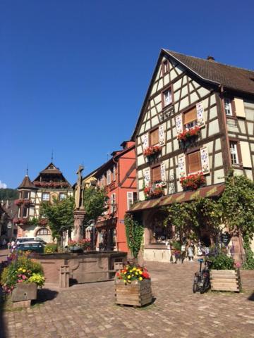 Appartement Au Charme Alsacien Kaysersberg-Vignoble Esterno foto