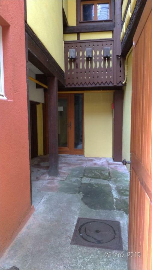 Appartement Au Charme Alsacien Kaysersberg-Vignoble Esterno foto