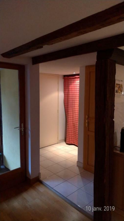 Appartement Au Charme Alsacien Kaysersberg-Vignoble Esterno foto